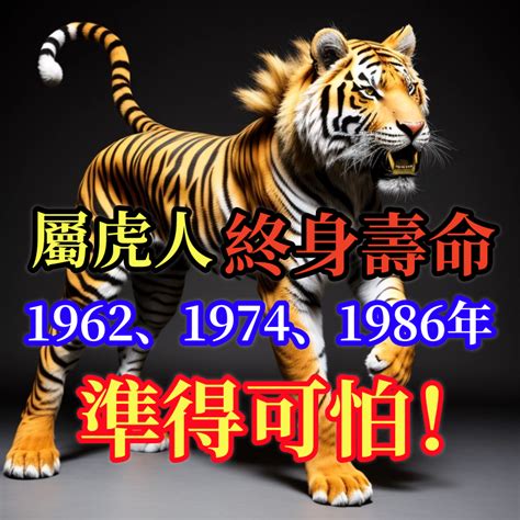 虎年1986|1986年屬虎是什麼命？最全虎命命相批註！